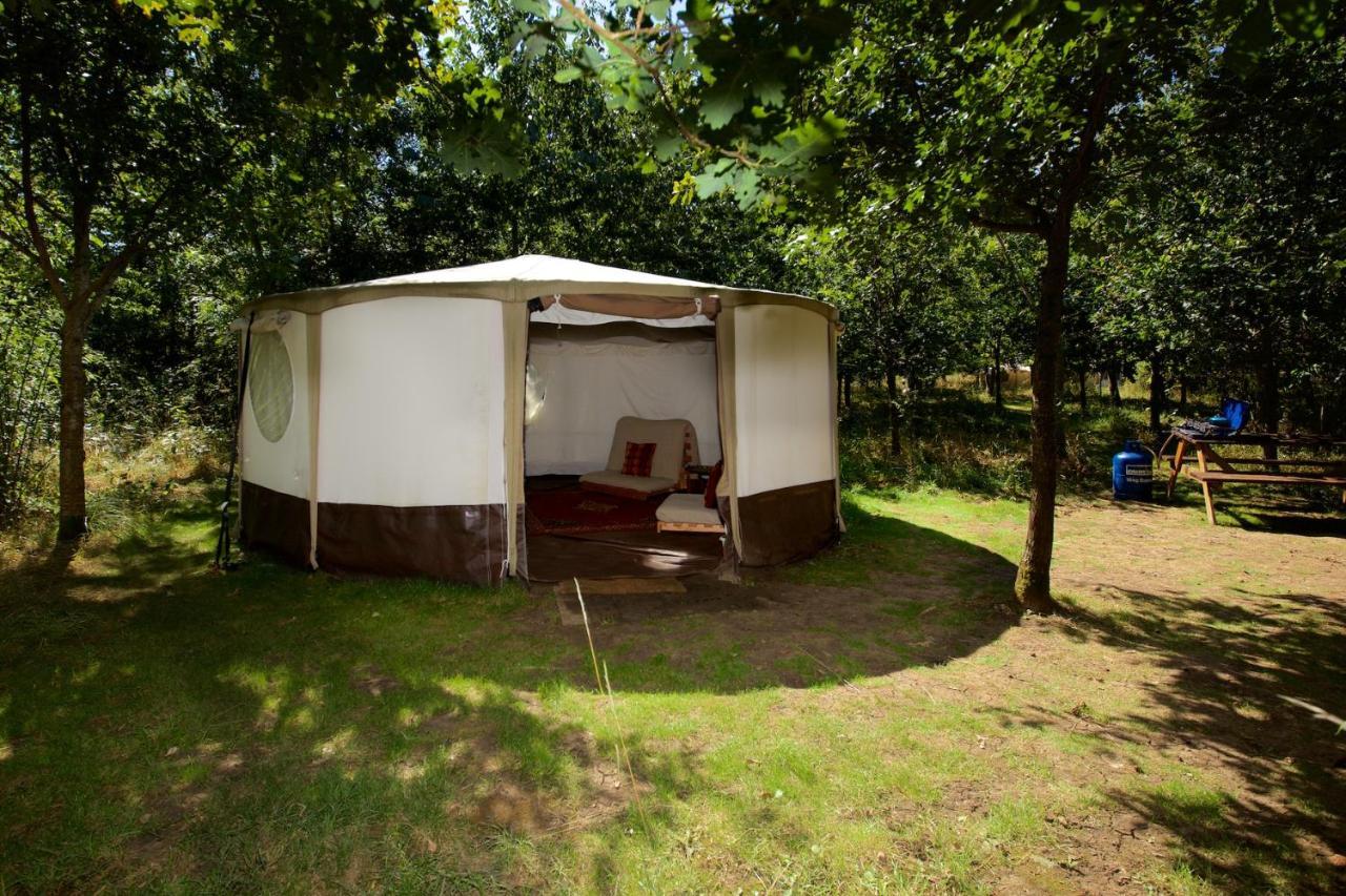 Luxury tent Dgg Woodland Escape