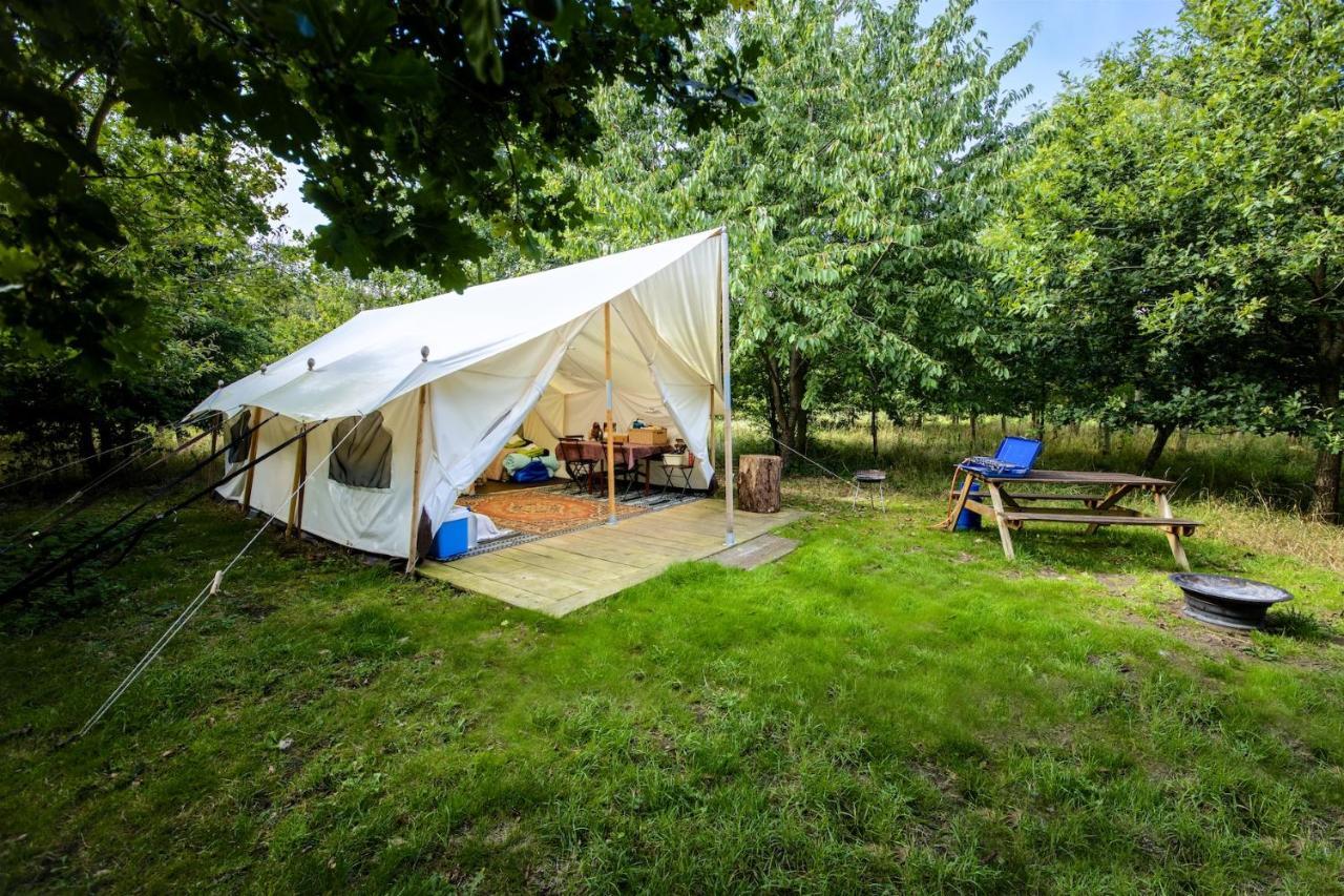 Dgg Woodland Escape