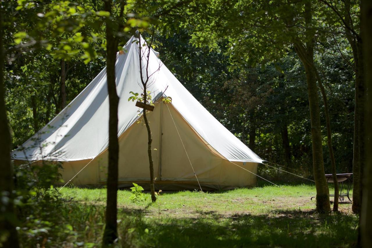 Dgg Woodland Escape Luxury tent South Barrow