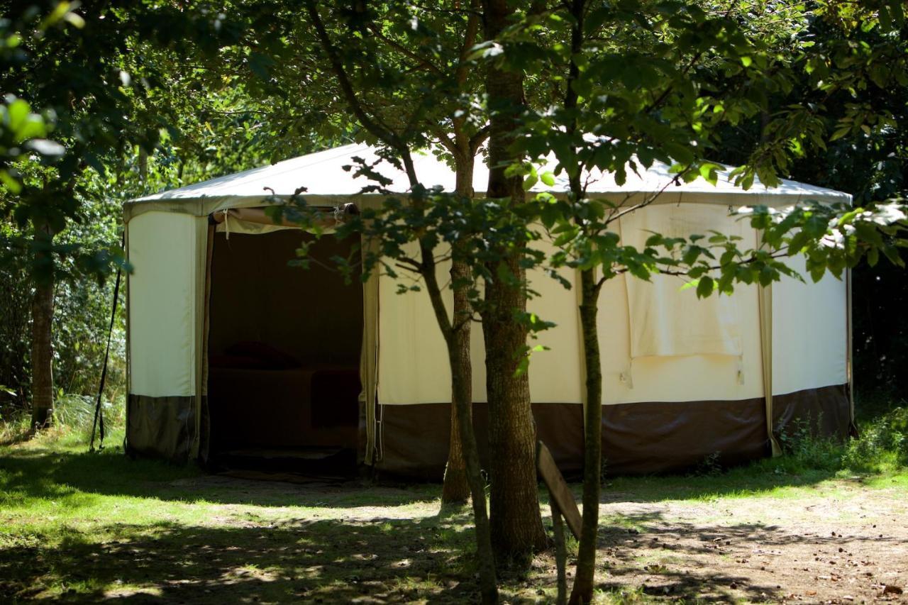 Luxury tent Dgg Woodland Escape South Barrow
