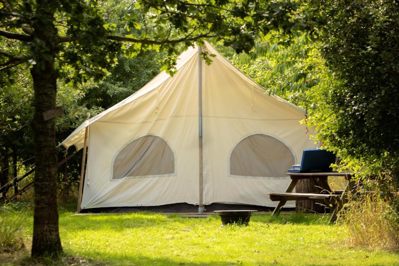 Dgg Woodland Escape *