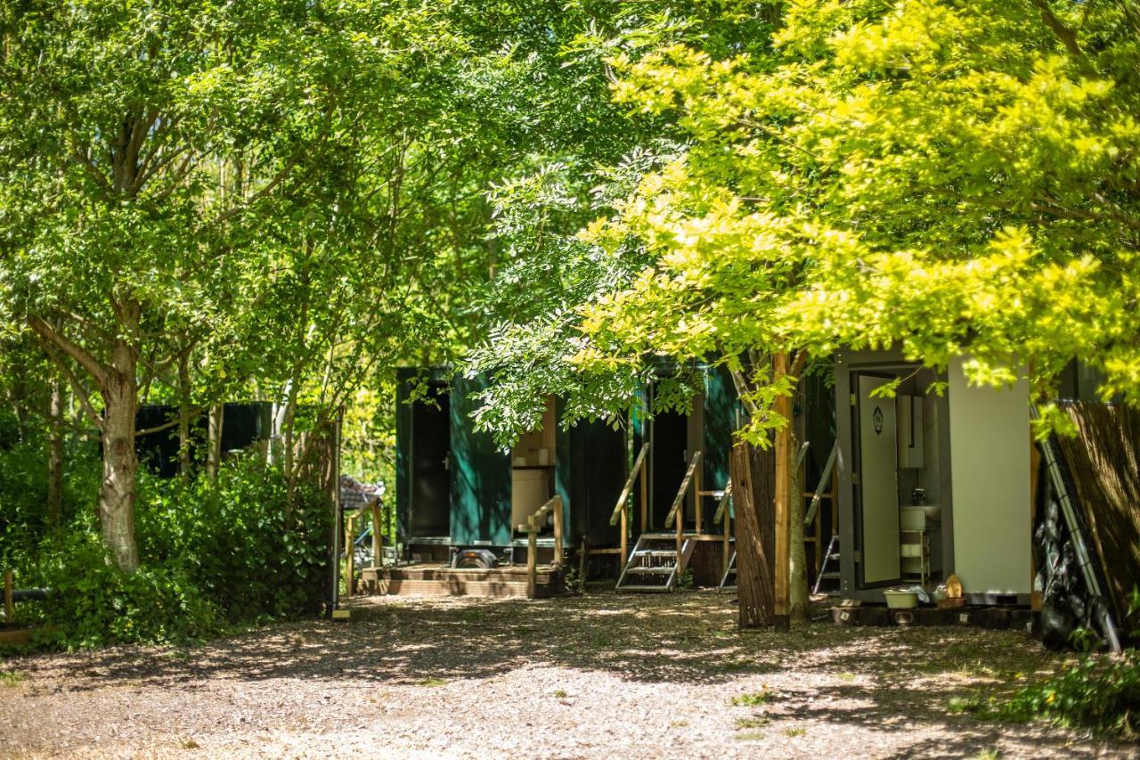 Dgg Woodland Escape