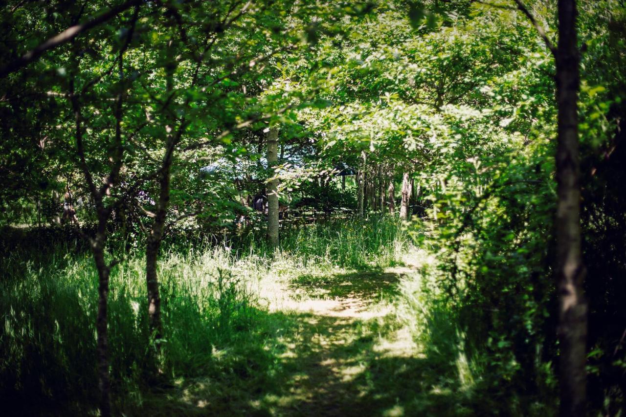 Luxury tent Dgg Woodland Escape