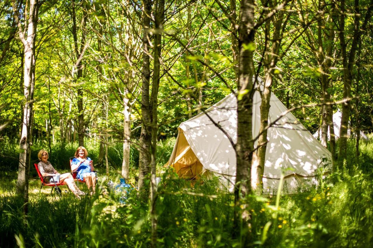 Dgg Woodland Escape