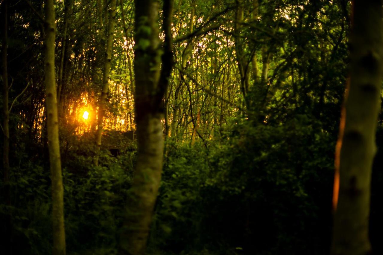 Luxury tent Dgg Woodland Escape *