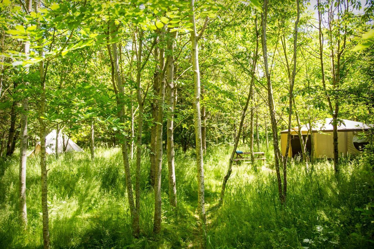 Dgg Woodland Escape *